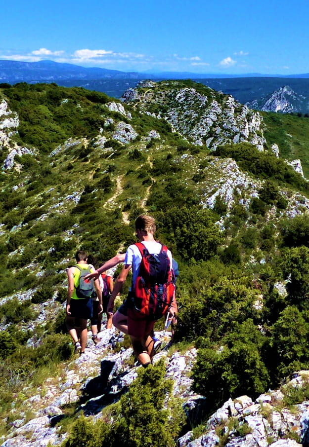 Randonnées dans les Alpilles