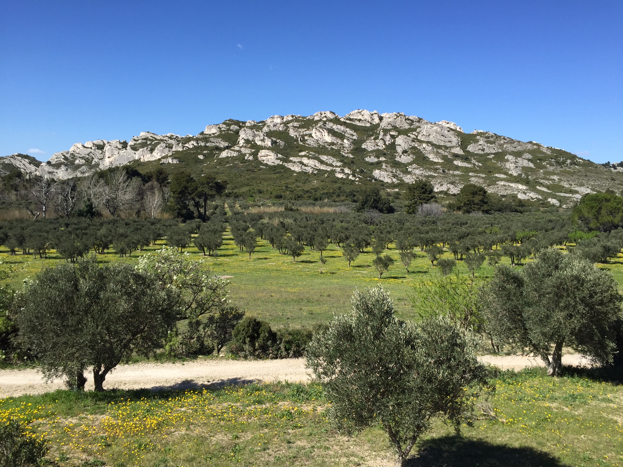 village alpilles 