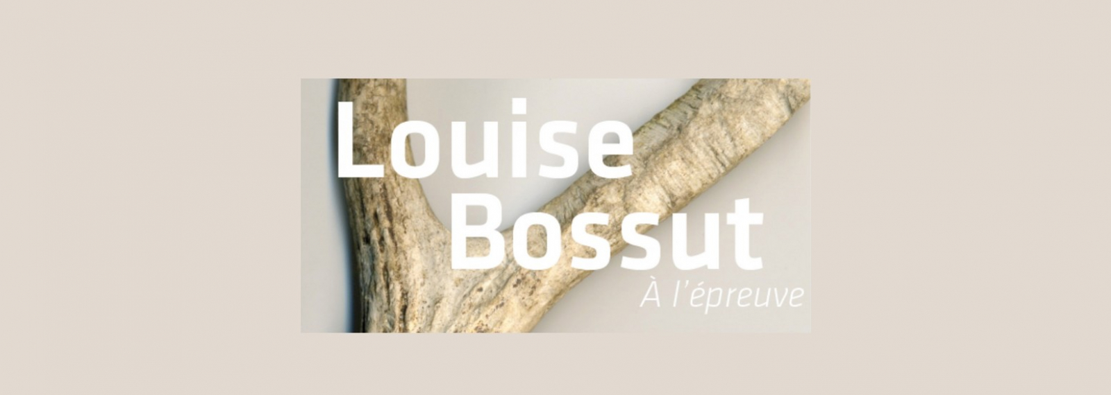 Exposition de Louise Bossut au Musée Estrine à Saint-Rémy-de-Provence dans le cadre des Rencontres de la Photographies à Arles