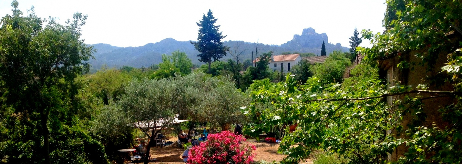 Location saisonnière Mas des 3 cyprès à Saint-Rémy-de-Provence