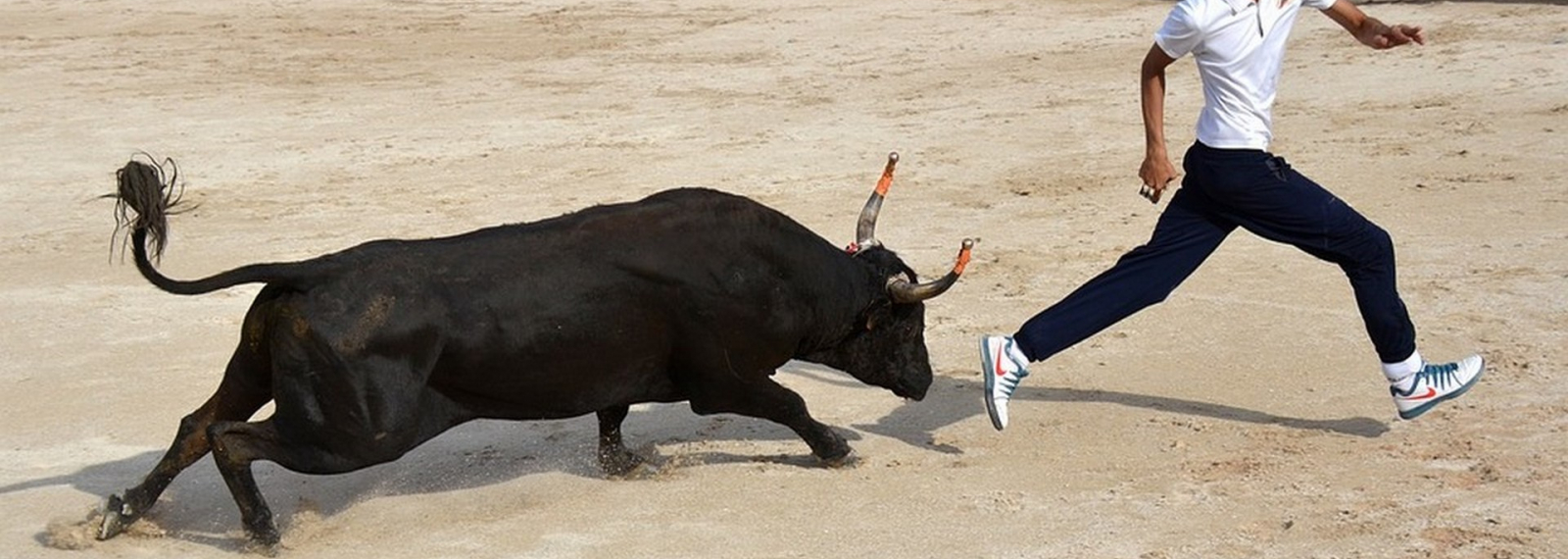 Course camarguaise catégorie Avenir