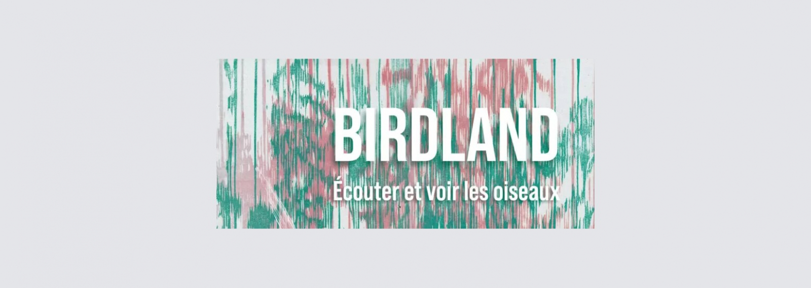 Exposition : Birdland I