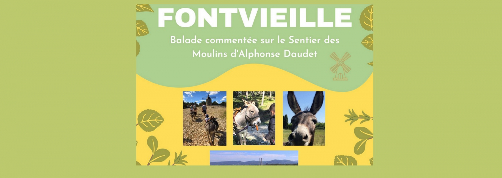 Kommentierte Wanderung im Eselschritt auf dem Sentier des Moulins d'Alphonse Daudet