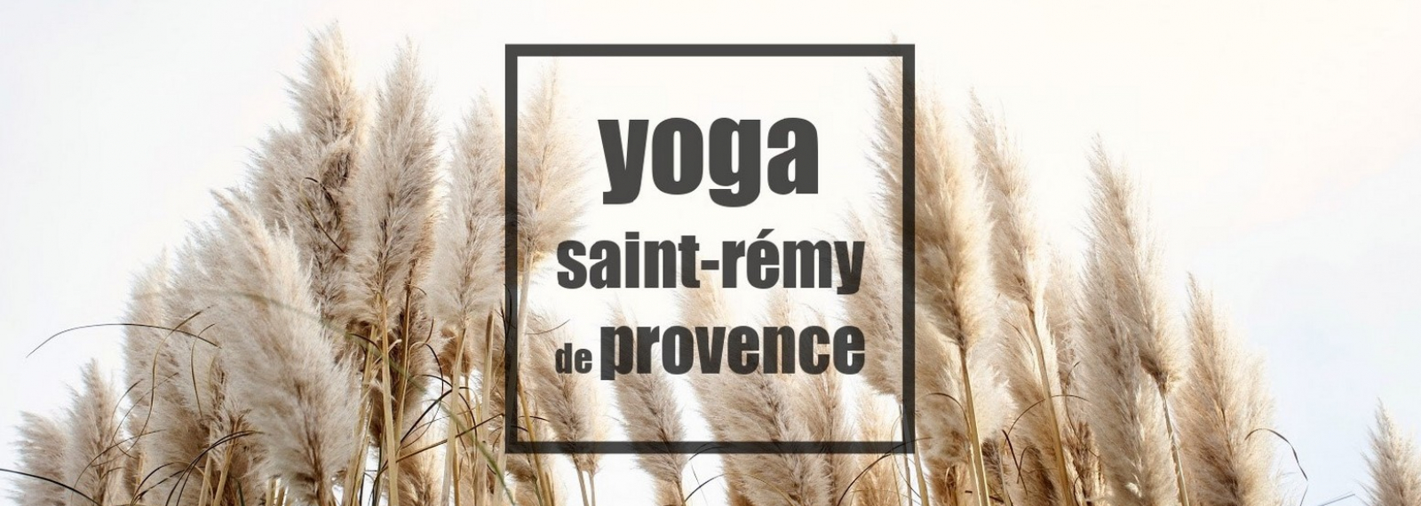 Yoga à Saint-Rémy