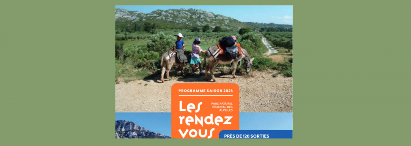 Brochure Rendez vous du Parc des Alpilles